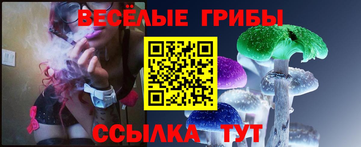 Галлюциногенные грибы Magic Shrooms  Вход с VPN  купить наркоту  Кохма  Галлюциногенные грибы ЛСД 